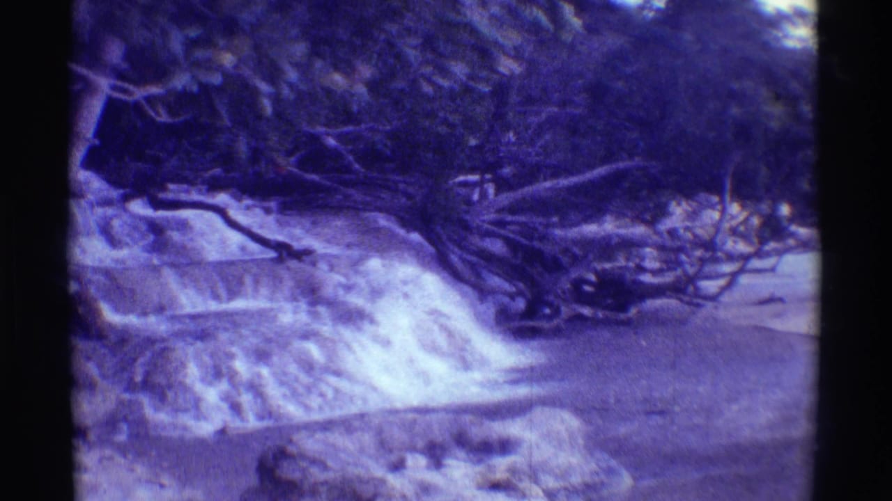 1971 Mauna Ulu, Hawaii 8mm frame showing the cascade continuing into a stream, with fallen limbs and dense vegetation in a purple-blue cast.
