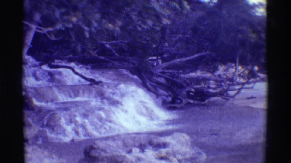 1971 Mauna Ulu, Hawaii 8mm frame showing the cascade continuing into a stream, with fallen limbs and dense vegetation in a purple-blue cast.