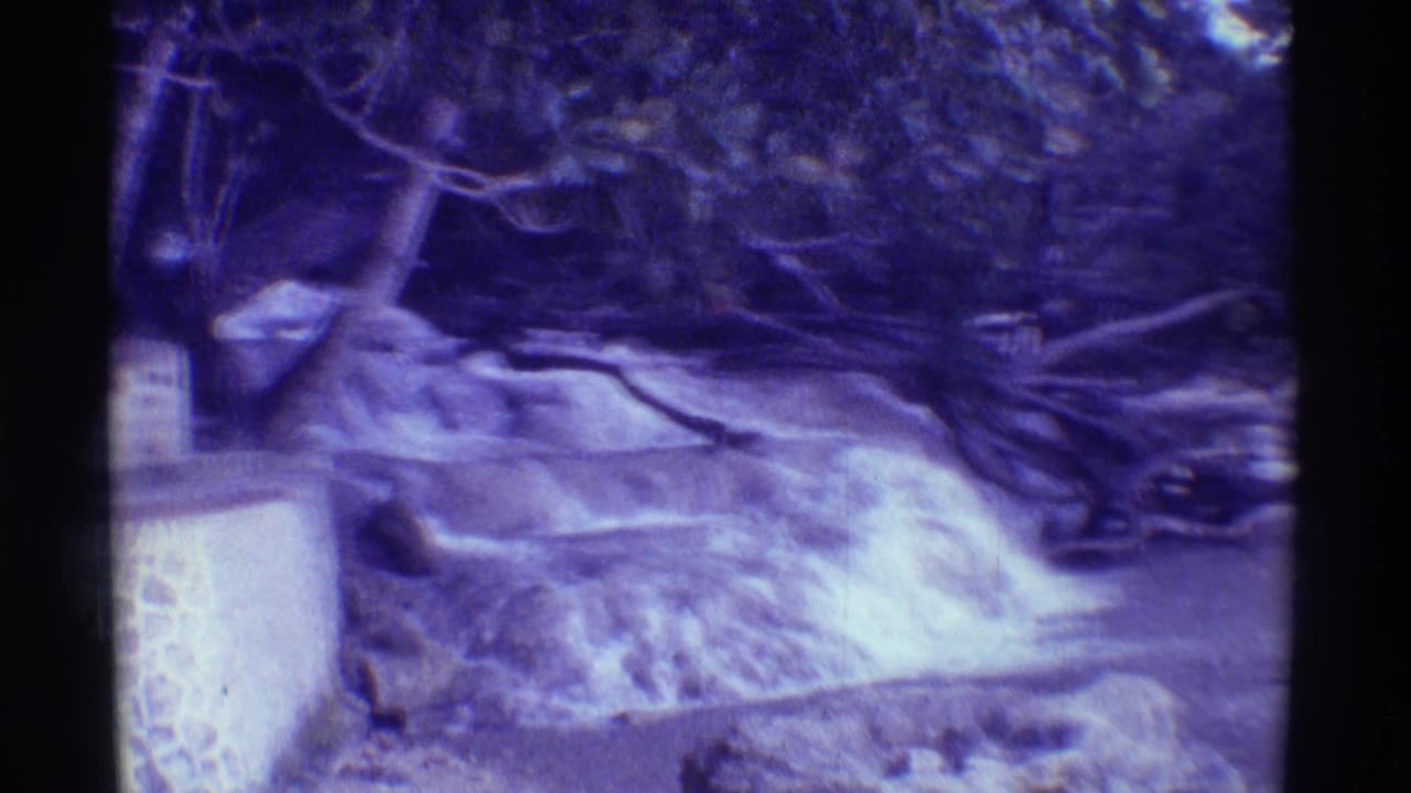1971 Mauna Ulu, Hawaii frame with a stepped cascade, foreground tree trunk, rock edge, fallen branches, and surrounding tropical foliage.