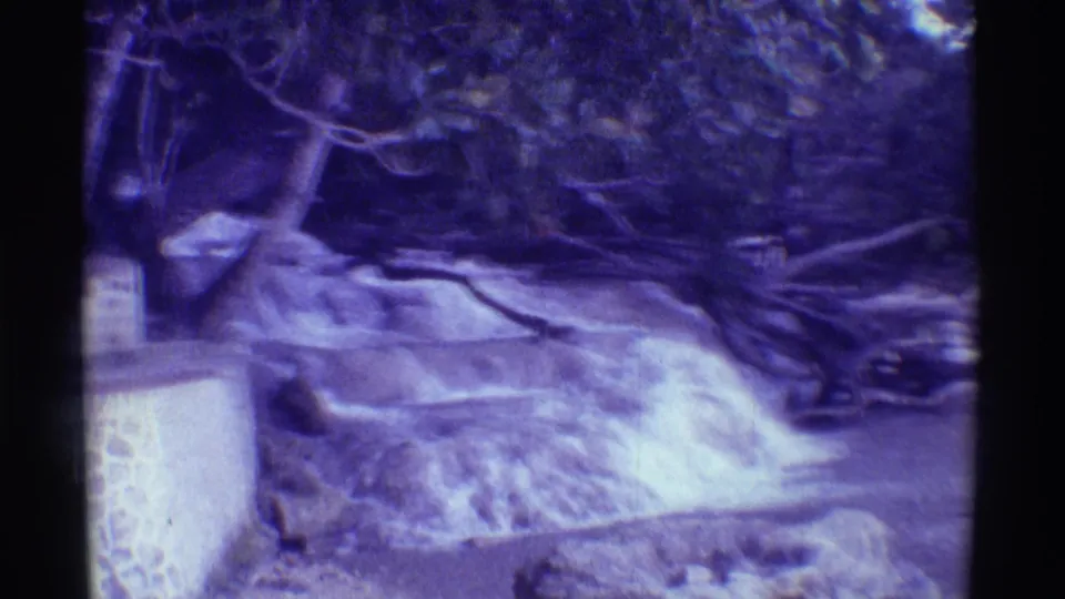 1971 Mauna Ulu, Hawaii frame with a stepped cascade, foreground tree trunk, rock edge, fallen branches, and surrounding tropical foliage.