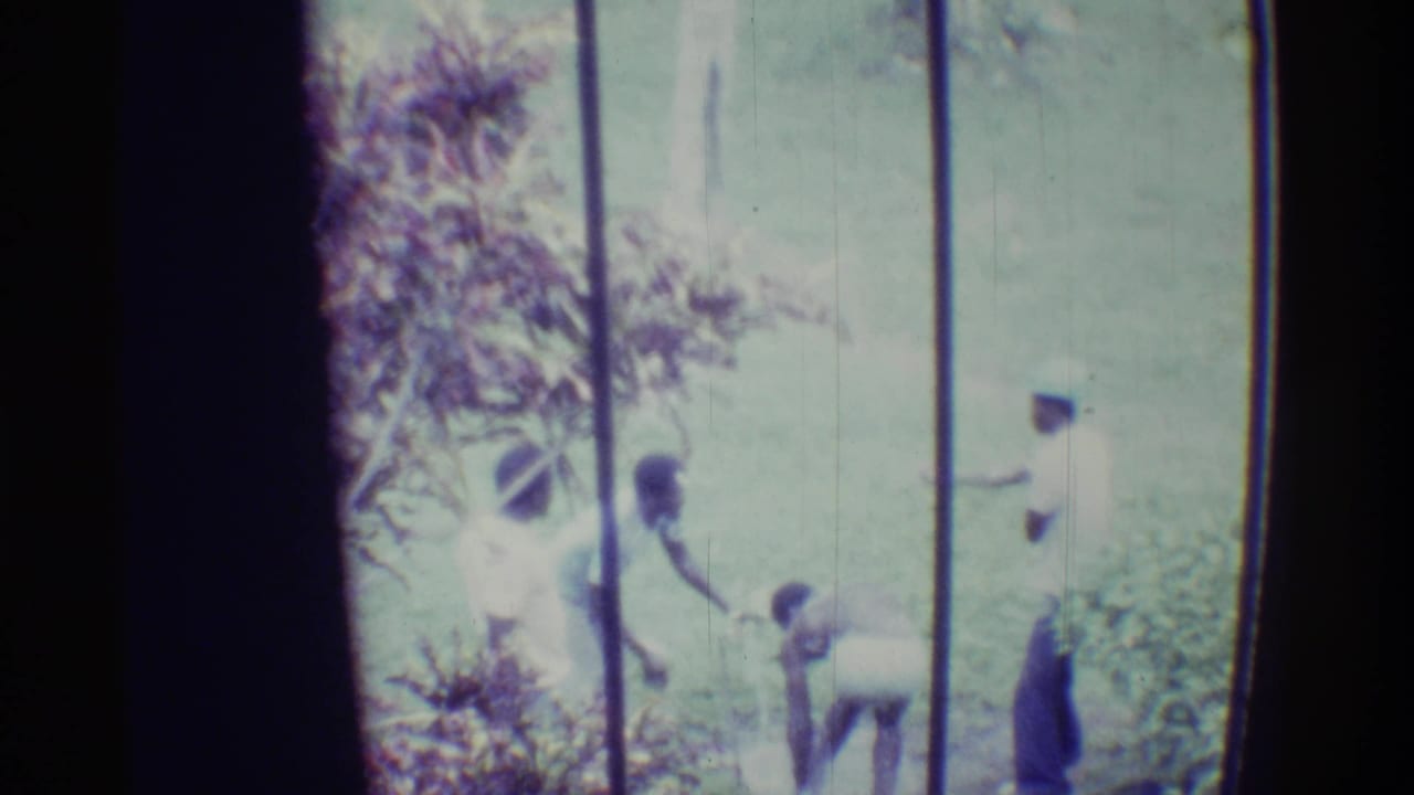 1971 Hawaii home-movie frame showing several people outdoors near trees, plants, and vertical posts in a bright tropical setting.