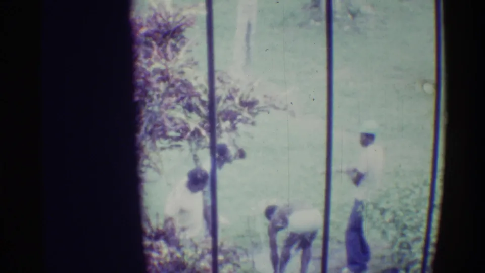 1971 Hawaii home-movie frame with people in light clothing near trees, posts, and greenery, one figure bending toward the ground.