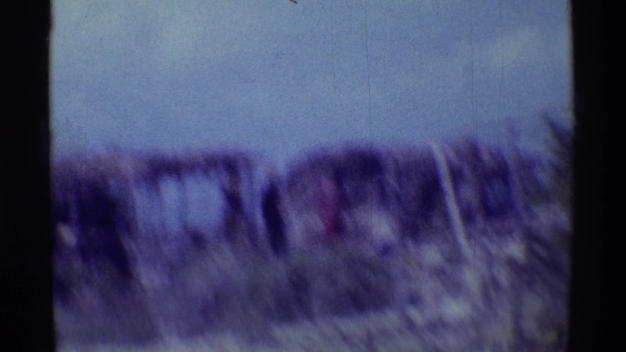 A soft, handheld 1971 Hawaii beach view shows low vegetation and indistinct shoreline forms under a bright sky.