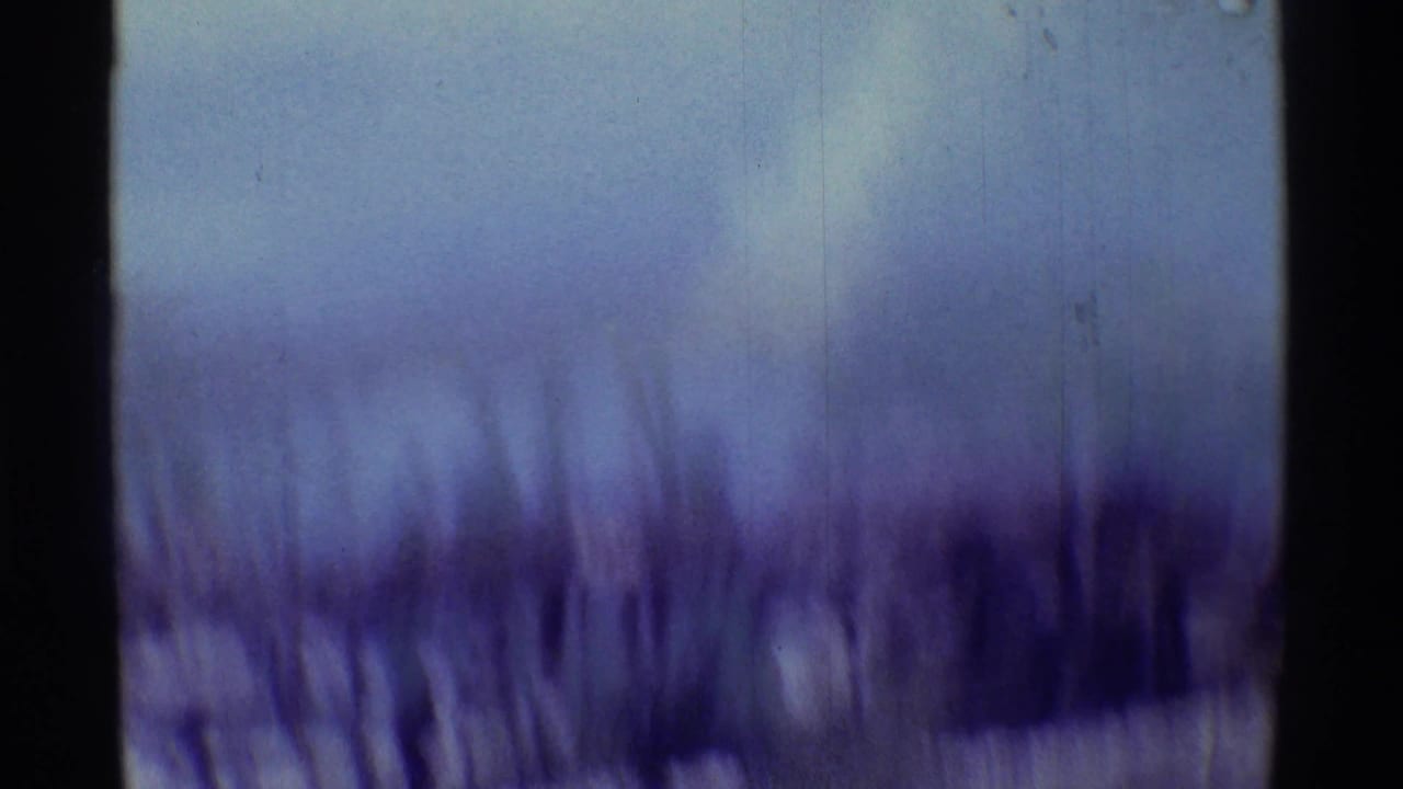 The 8mm frame shows a pale coastal horizon in Hawaii with blurred dark foreground shapes and visible film scratches.