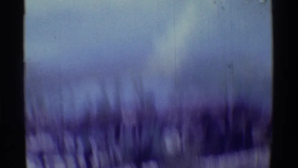 The 8mm frame shows a pale coastal horizon in Hawaii with blurred dark foreground shapes and visible film scratches.