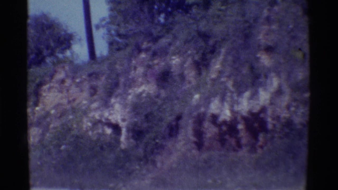 A 1971 Hawaii home-movie frame appears to show rocky vegetation and an indistinct low tan shack-like structure near the shore.
