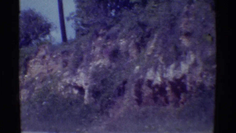 A 1971 Hawaii home-movie frame appears to show rocky vegetation and an indistinct low tan shack-like structure near the shore.