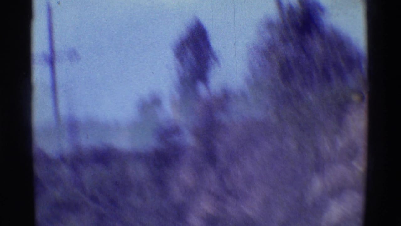 Motion-blurred 8mm frame with vegetation, sky, and dark gate edges from the 1971 Hawaii clip.