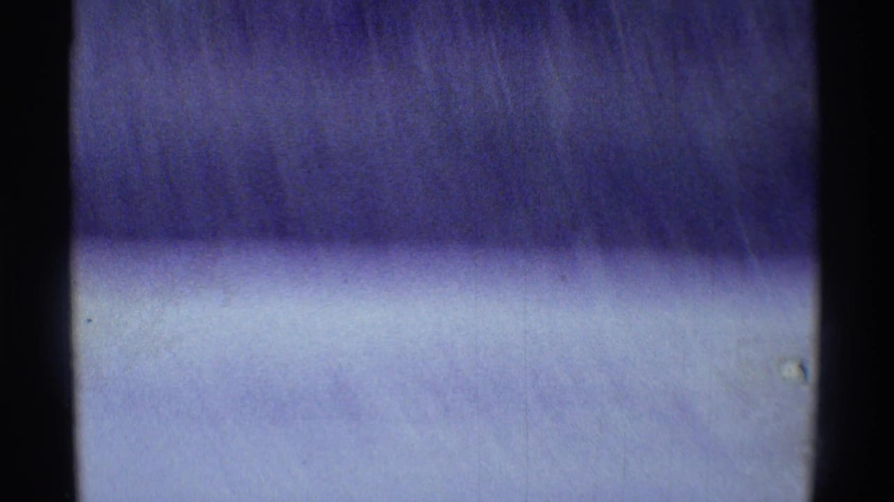 Soft blue-purple field or sky area with dark film borders.