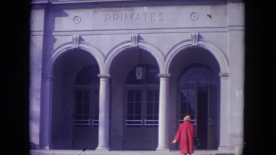 1972 Lincoln Park home-movie frame of the PRIMATES building exterior with a red-coated visitor walking near the doors.