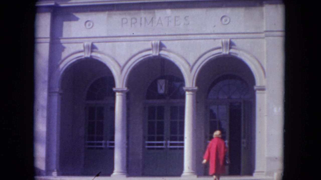 Woman in a red coat walks toward arched doors beneath a PRIMATES sign.