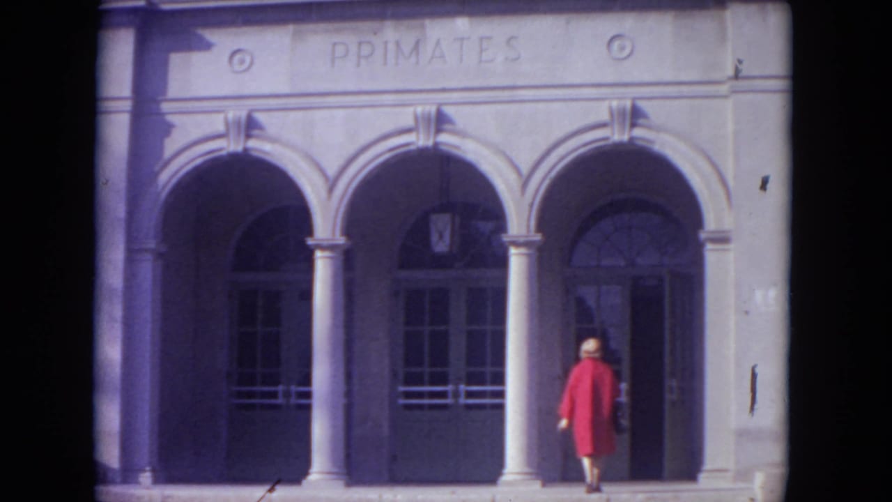 Woman in a red coat nears the doorway of the PRIMATES building.