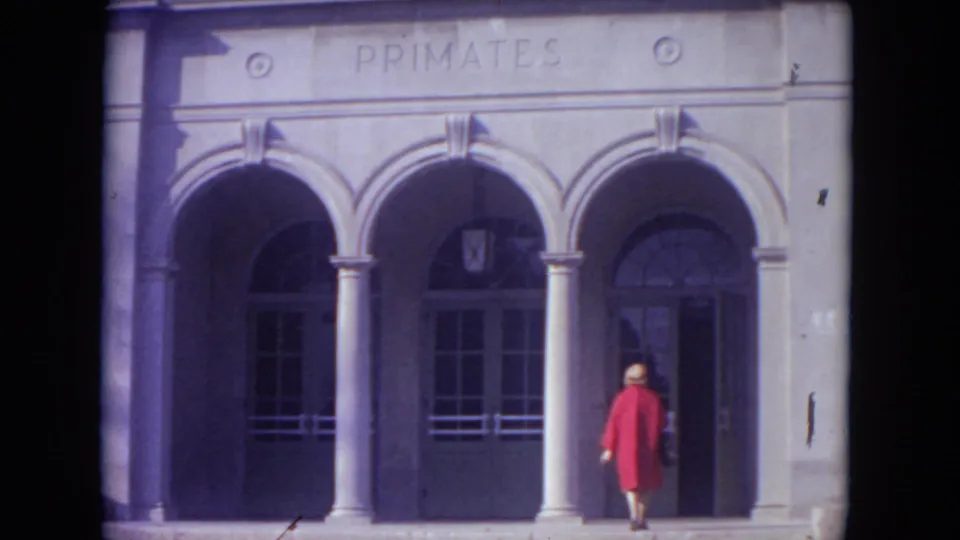 At Lincoln Park Zoo in 1972, a woman in a red coat stands near the right doorway under the PRIMATES sign.