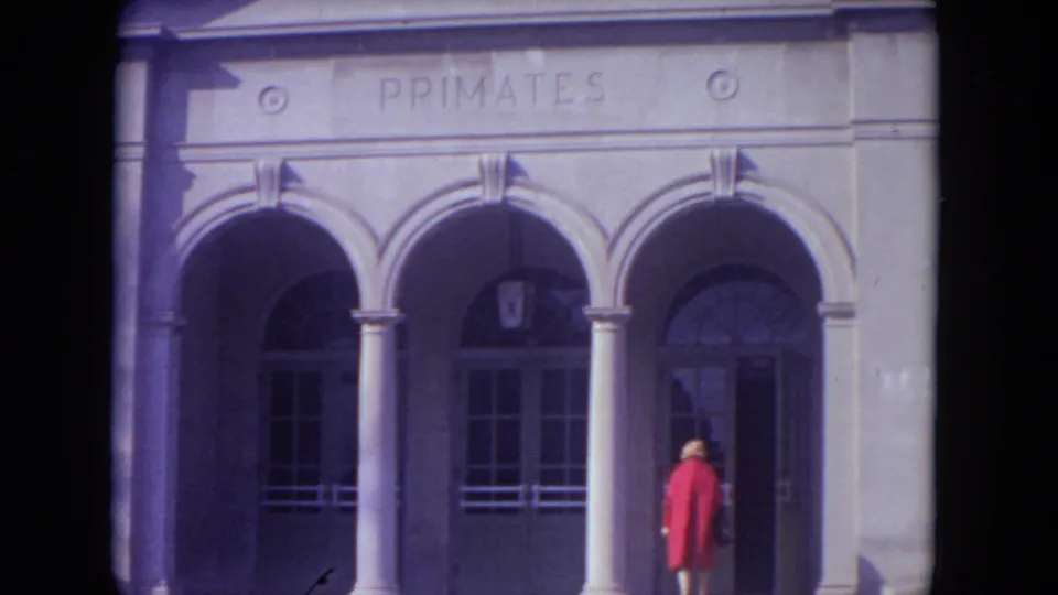 The 8mm frame shows the visitor near the right entrance of the Lincoln Park Zoo primate building in 1972.