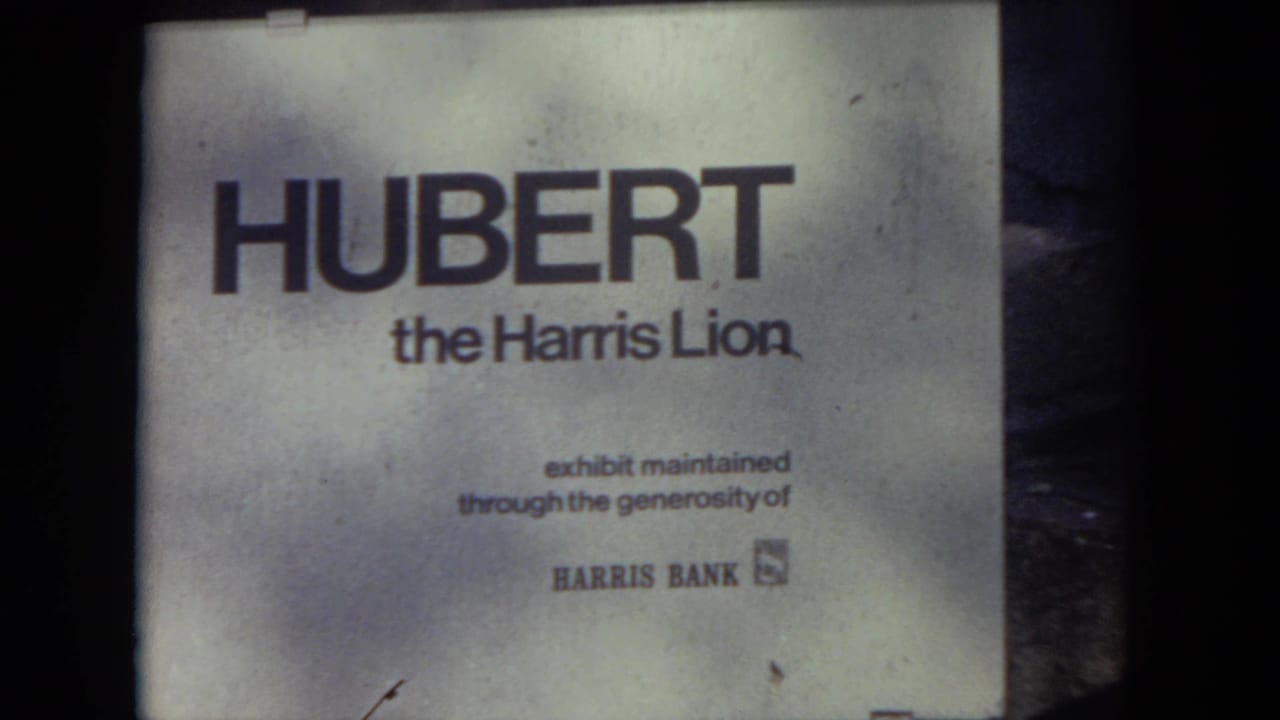 A zoo exhibit sign identifies Hubert the Harris Lion and notes maintenance through Harris Bank support.