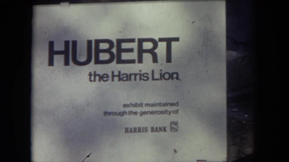 A zoo exhibit sign identifies Hubert the Harris Lion and notes maintenance through Harris Bank support.
