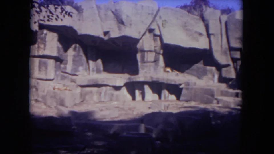 Lincoln Park zoo enclosure in 1972, with artificial rock formations and the sleeping lion partly seen near the bottom right.