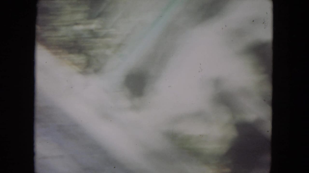 Soft, blurred view of a pale snowy or outdoor enclosure area with dark film borders.