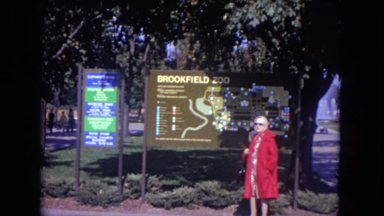 The woman remains near the Brookfield Zoo map board, framed in bright sunlight with shaded trees around the entrance area.