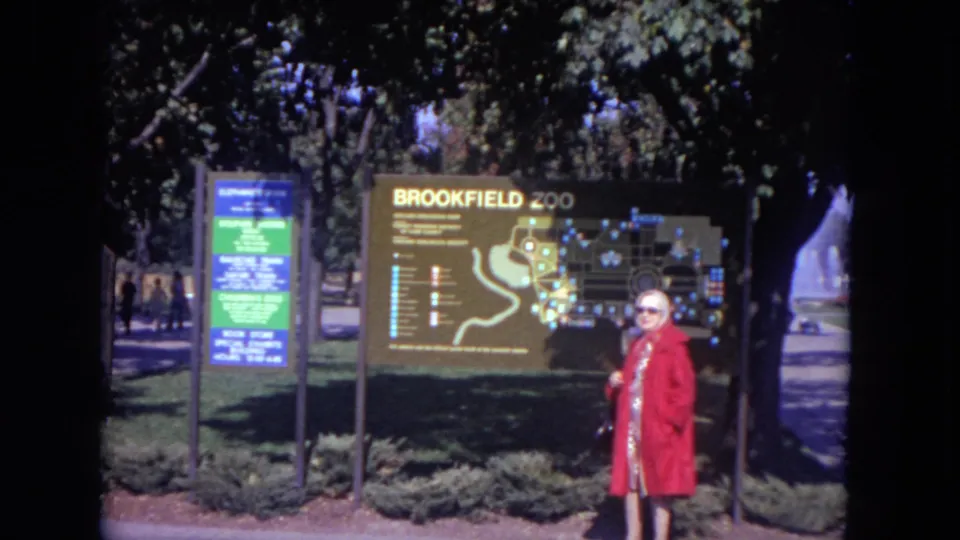 The woman remains near the Brookfield Zoo map board, framed in bright sunlight with shaded trees around the entrance area.