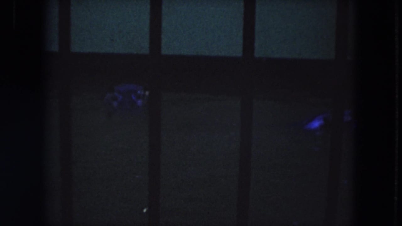 Blue-toned 8mm frame from Lincoln Park shows a crocodilian shape near the surface inside a dark barred exhibit.