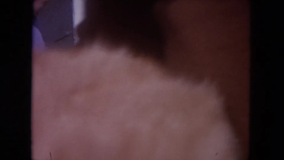 An orange tabby cat fills much of the 8mm frame while the women and house are mostly obscured in the background.