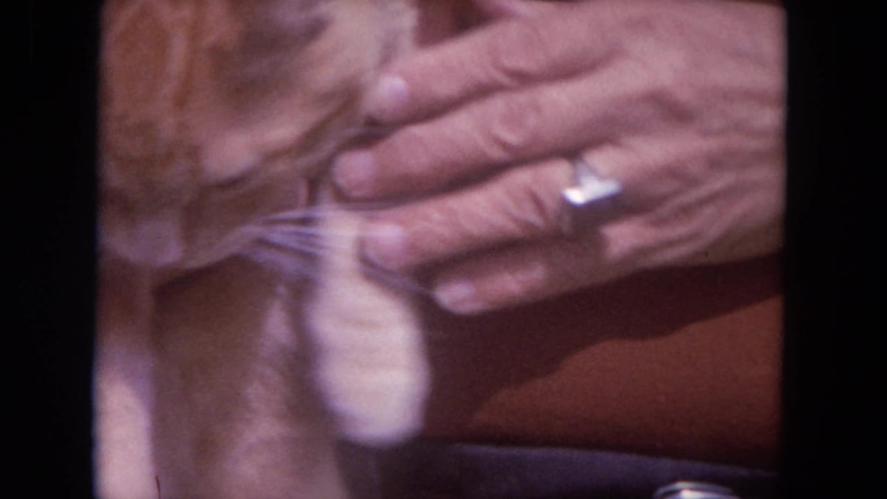 1972 Lake Geneva 8mm frame showing a person holding a ginger tabby cat close to their torso outdoors.