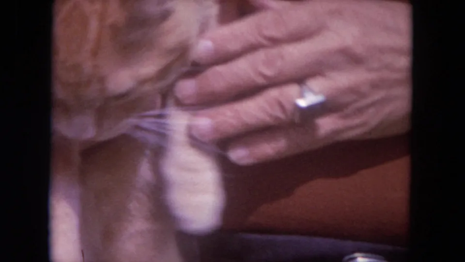 1972 Lake Geneva 8mm frame showing a person holding a ginger tabby cat close to their torso outdoors.