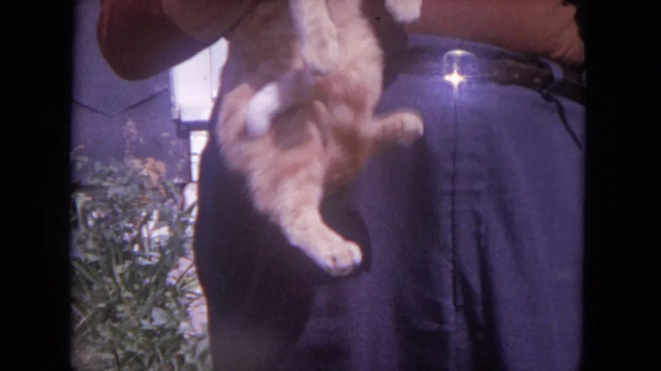 1972 Lake Geneva home-movie frame of a ginger tabby cat turned upside down while held outdoors in bright sun.