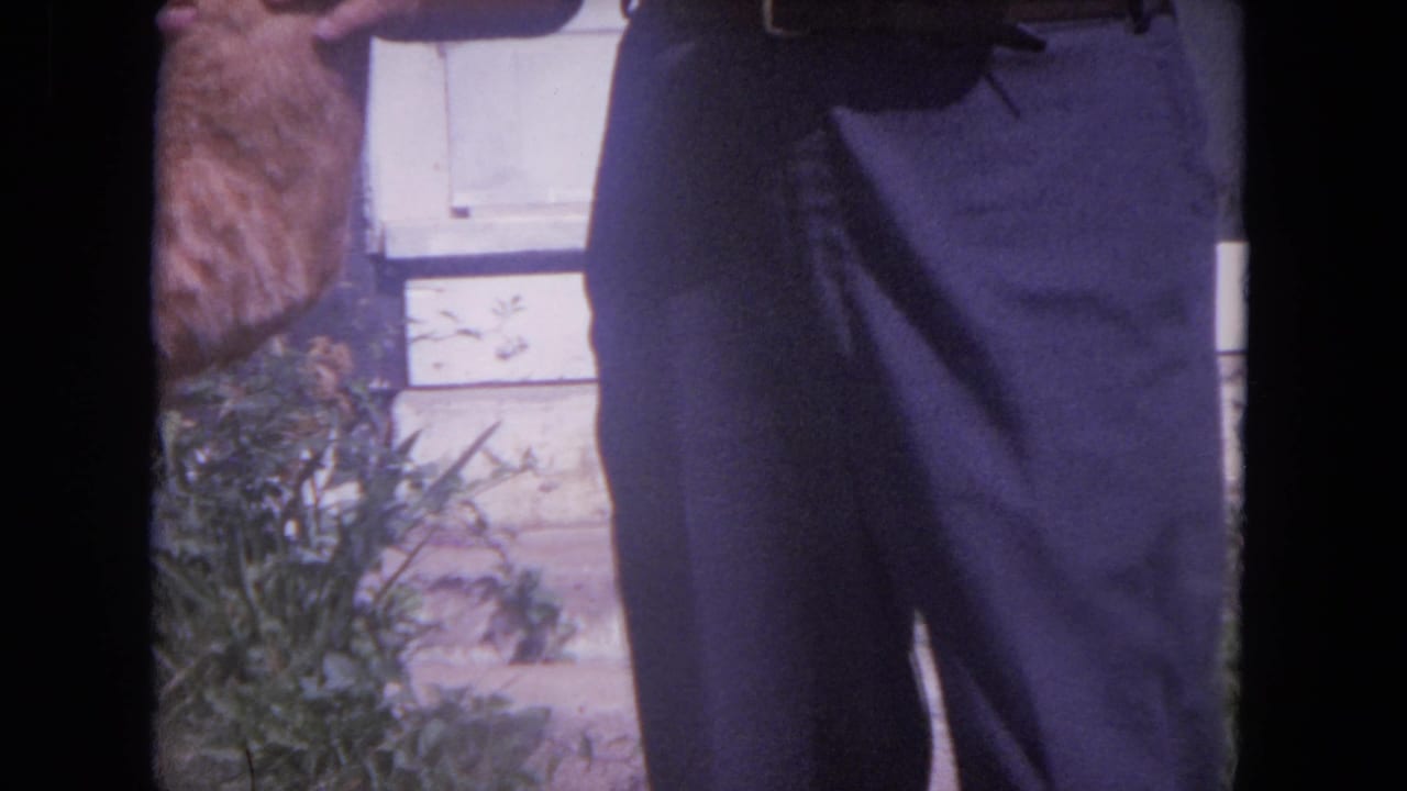 In Lake Geneva, Wisconsin home-movie footage from 1972, a partial figure stands by worn steps, a white door, foliage, and a light-colored cat at the edge.