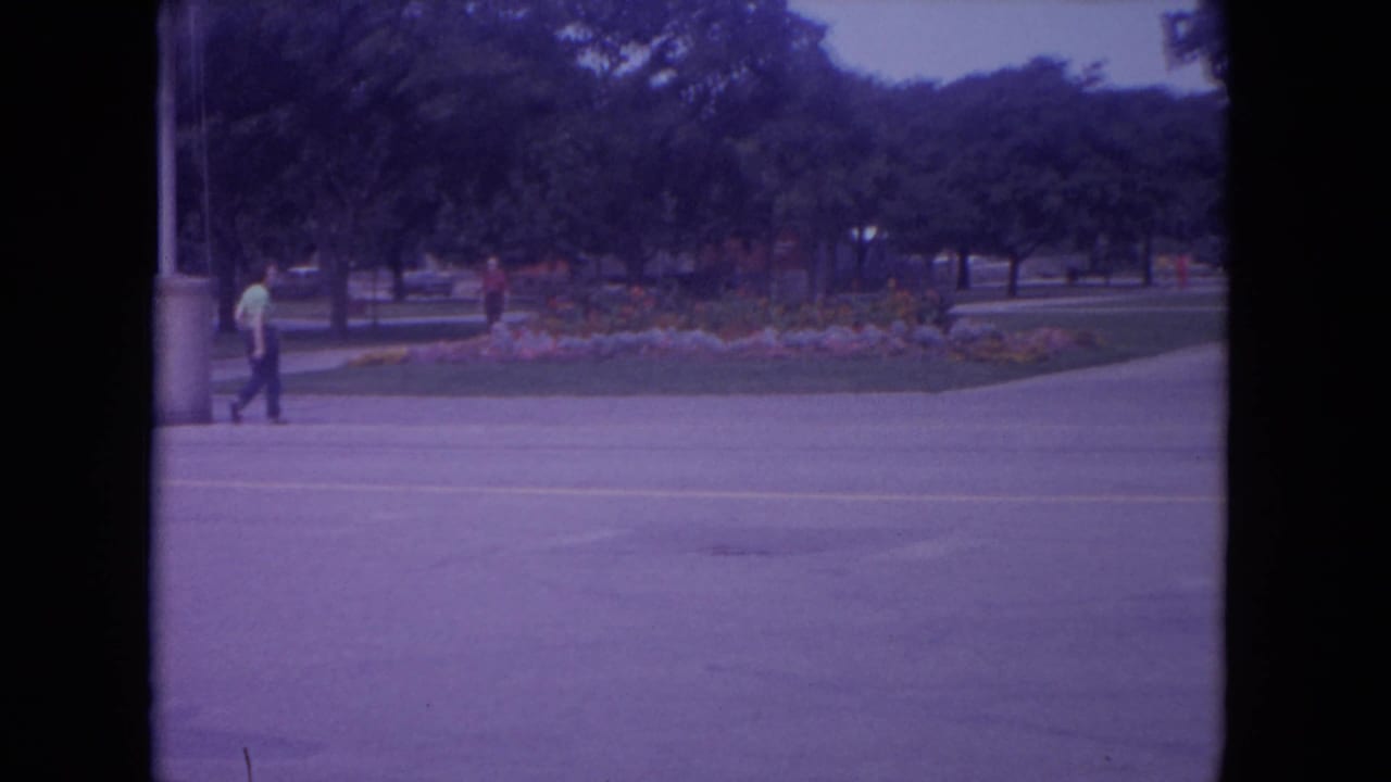 Distant visitors walk near a road and planted park area in a zoo or public grounds.