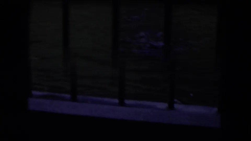 Dim 1972 8mm view through zoo bars toward green water, with the hippopotamus barely visible in the tank.