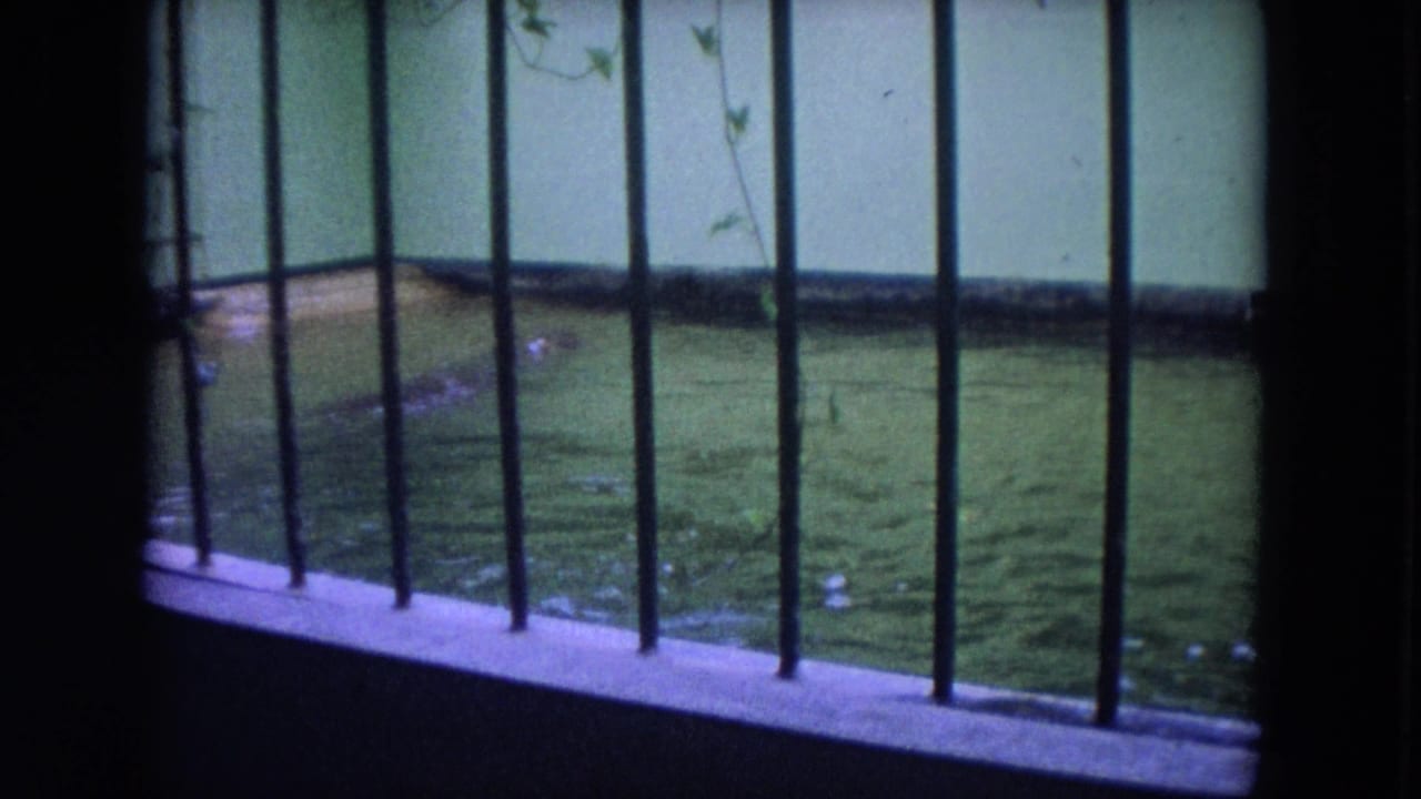 Hippo pool seen through dark vertical bars with rippling green water.
