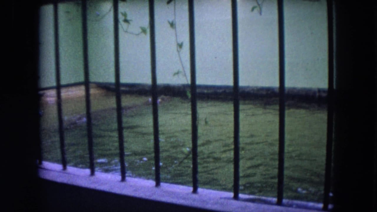Green zoo pool behind vertical bars with faint water movement near the far edge.