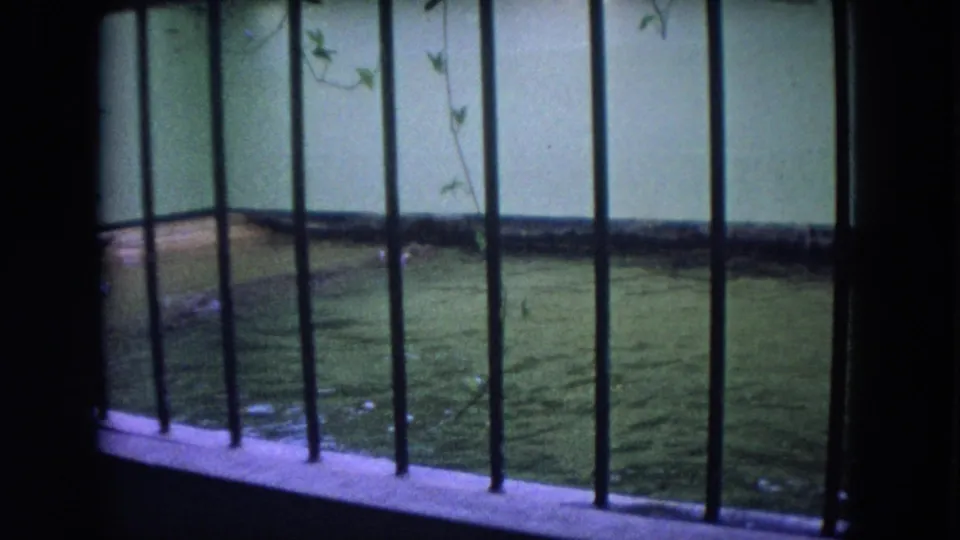 Visitor-shot 1972 zoo view in Colby, Wisconsin, looking through bars at a green pool where the hippo is mostly below the surface.