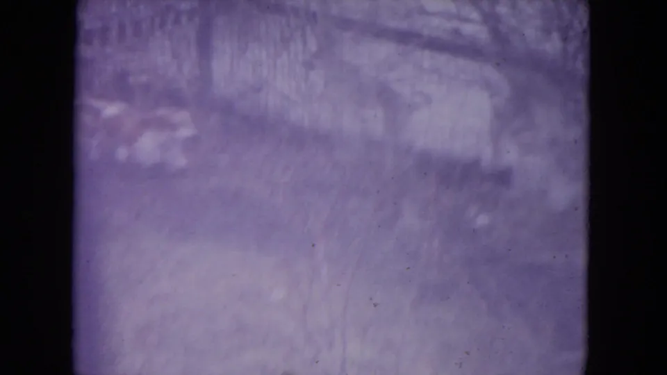 1972 Racine 8mm frame showing a soft, purple-cast yard view with fencing and a blurred dog near the left edge.