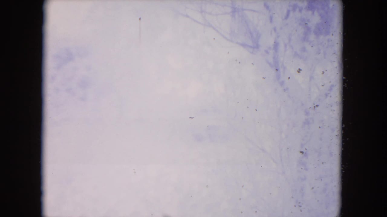 Pale snowy outdoor view through a dark window frame with bare branches faintly visible.