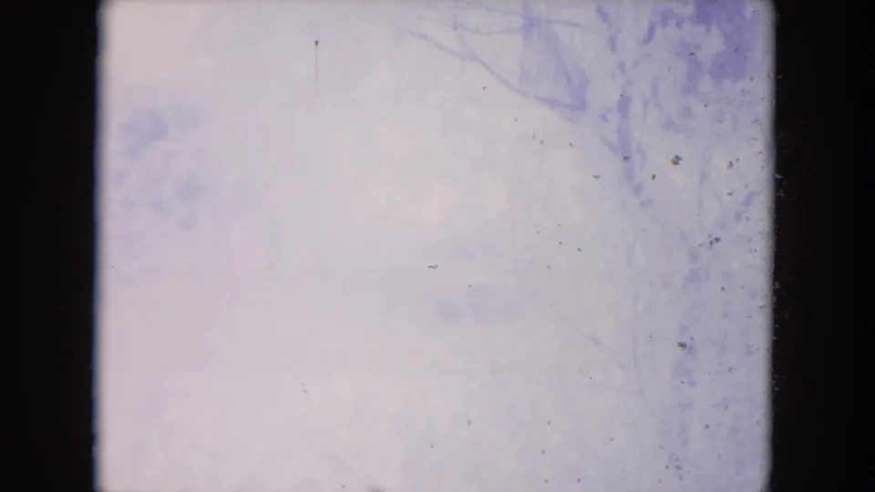 1972 Racine home-movie frame looking through a window at a pale snowy yard and faint bare winter branches.
