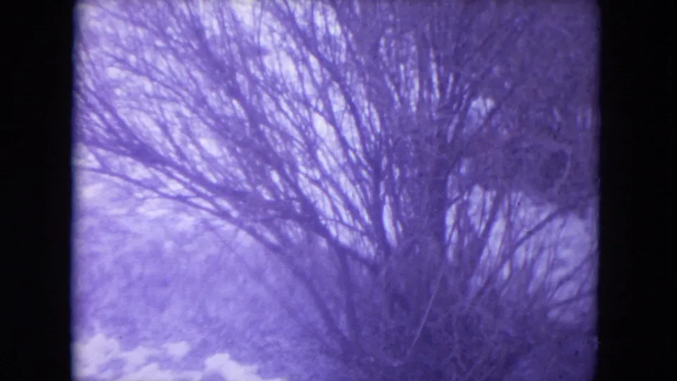 1972 Racine footage shows a bare tree outside the window with snow on the ground and a strong purple cast.