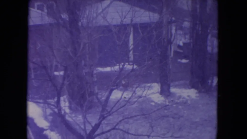 1972 Racine winter yard seen from indoors, with bare trees, snow patches, and part of a residential exterior in view.