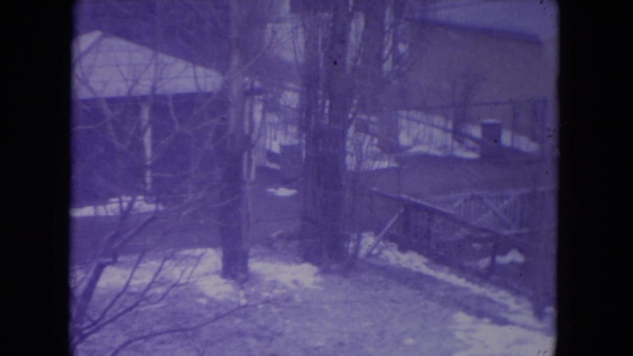 Snowy backyard with bare trees, fencing, and a small outbuilding.
