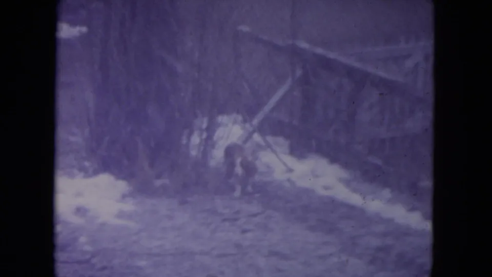 A dog appears near snow, brush, and a fence in a winter backyard in Racine, Wisconsin, filmed on 8mm in 1972.