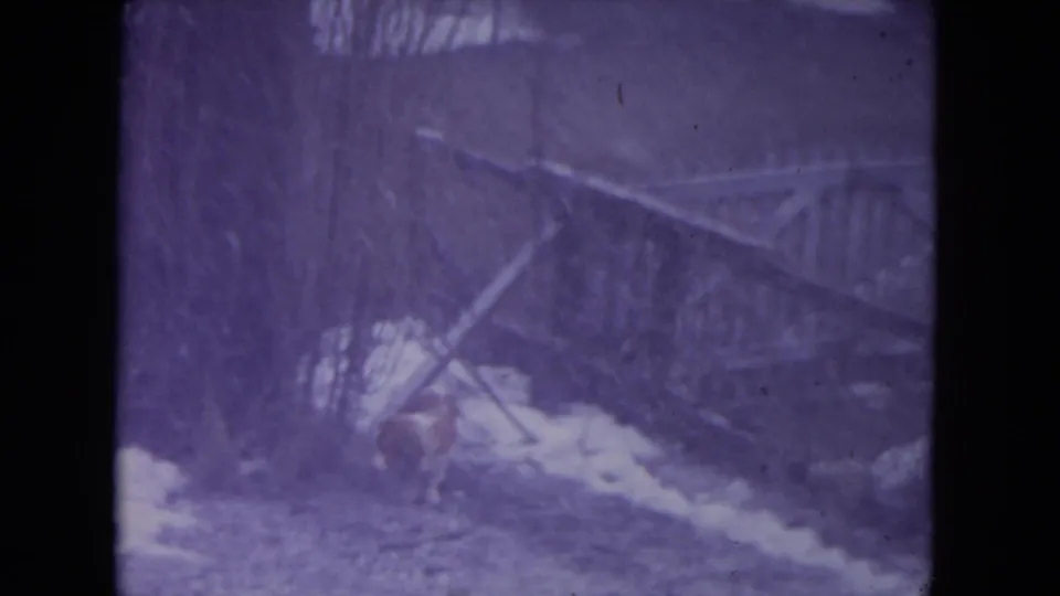 1972 8mm home-movie frame of a dog crossing a snowy backyard near a wooden fence and bare winter trees.