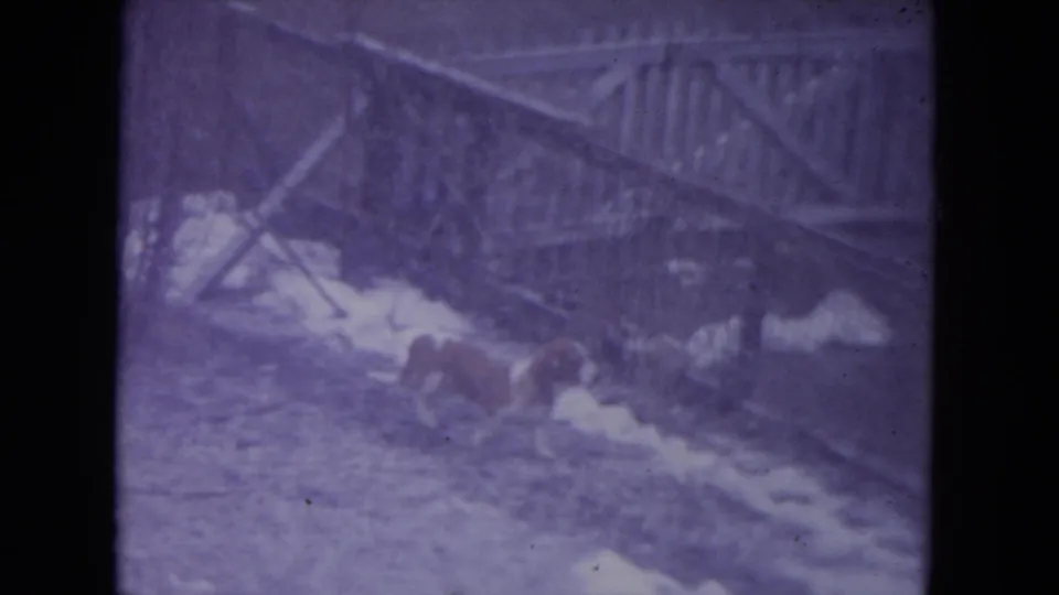 A dog stands or moves beside snow patches and a leaning wooden fence in this 1972 Racine, Wisconsin home-movie frame.