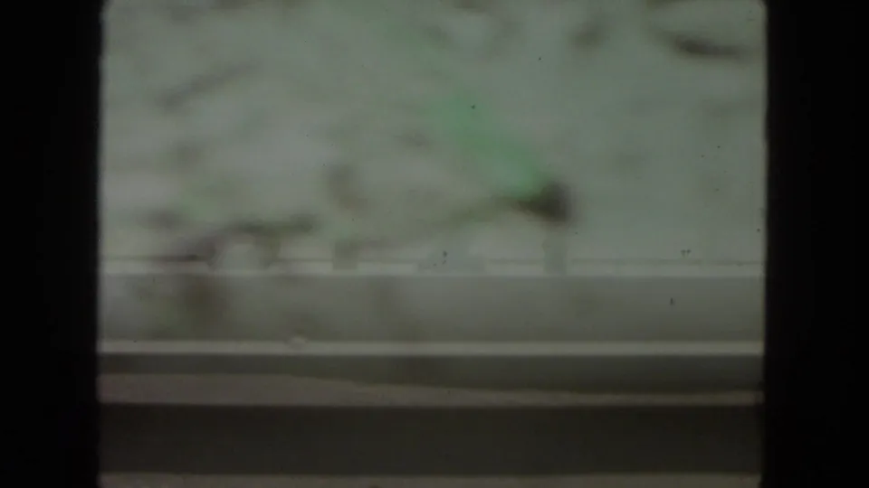Soft, abstract gray-green frame in the 1972 Racine home movie, with a darker horizontal edge near the bottom.