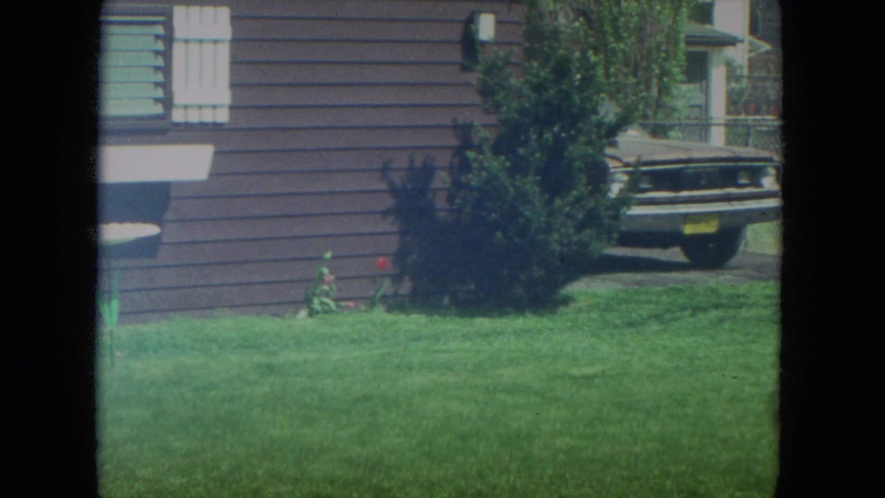 Suburban lawn and brown-sided house with a shrub and parked car partly visible.