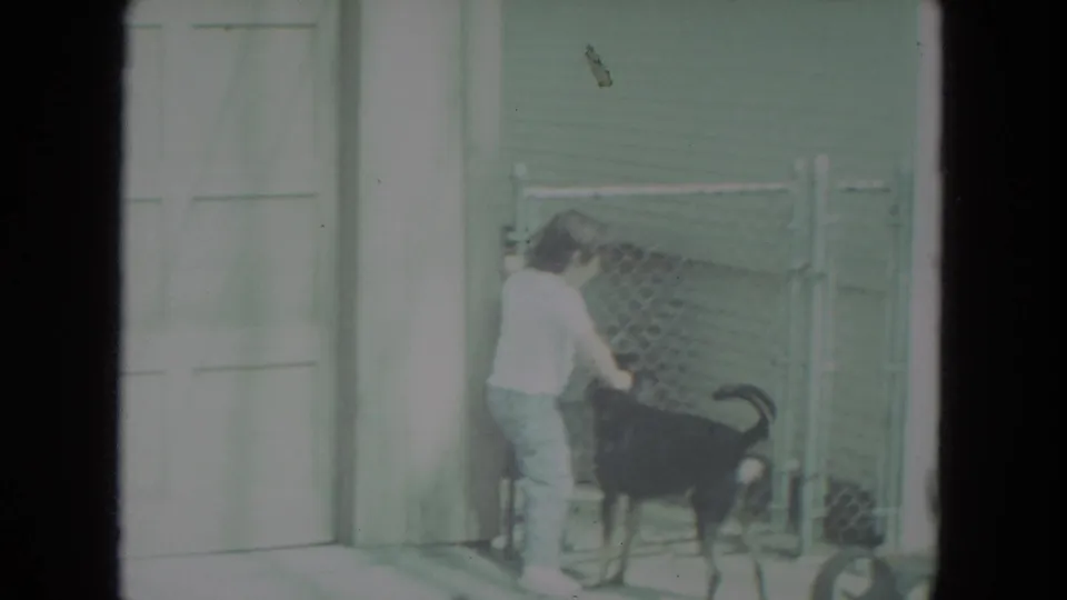 A person in light clothing stands by a gate with a larger black dog in Racine, Wisconsin, 1972 home-movie footage.