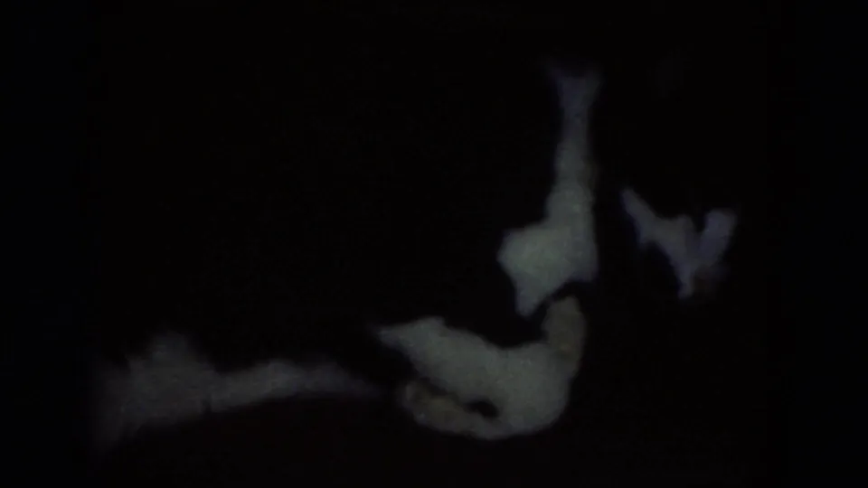 A dark final frame appears to show the dog partly obscured in shadow, with only pale body areas visible against the black background.