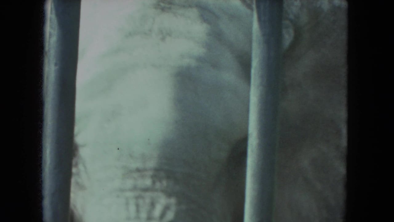 Close 8mm view of an elephant behind metal bars, with the eye and forehead partly visible in muted color.