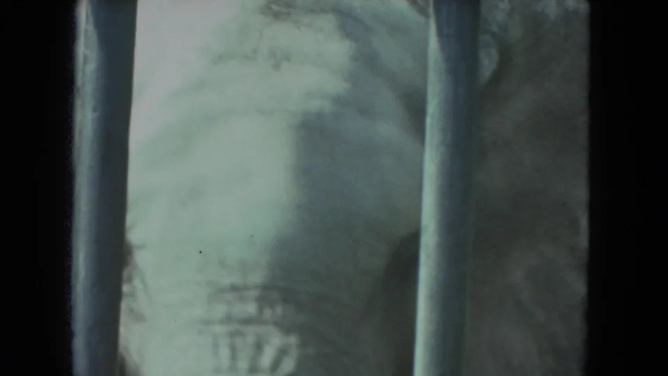Close 8mm view of an elephant behind metal bars, with the eye and forehead partly visible in muted color.